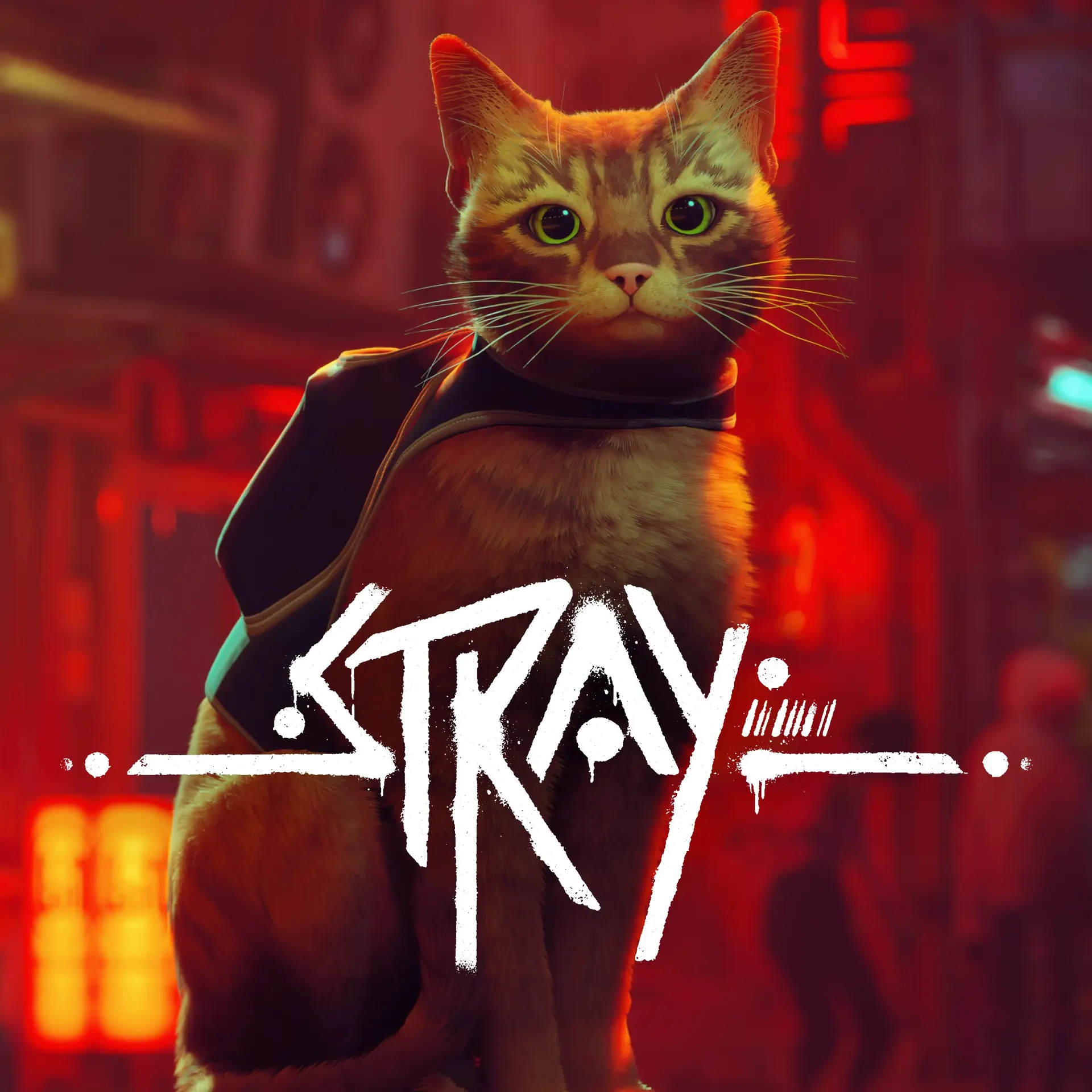 Stray (Xbox Games BR)